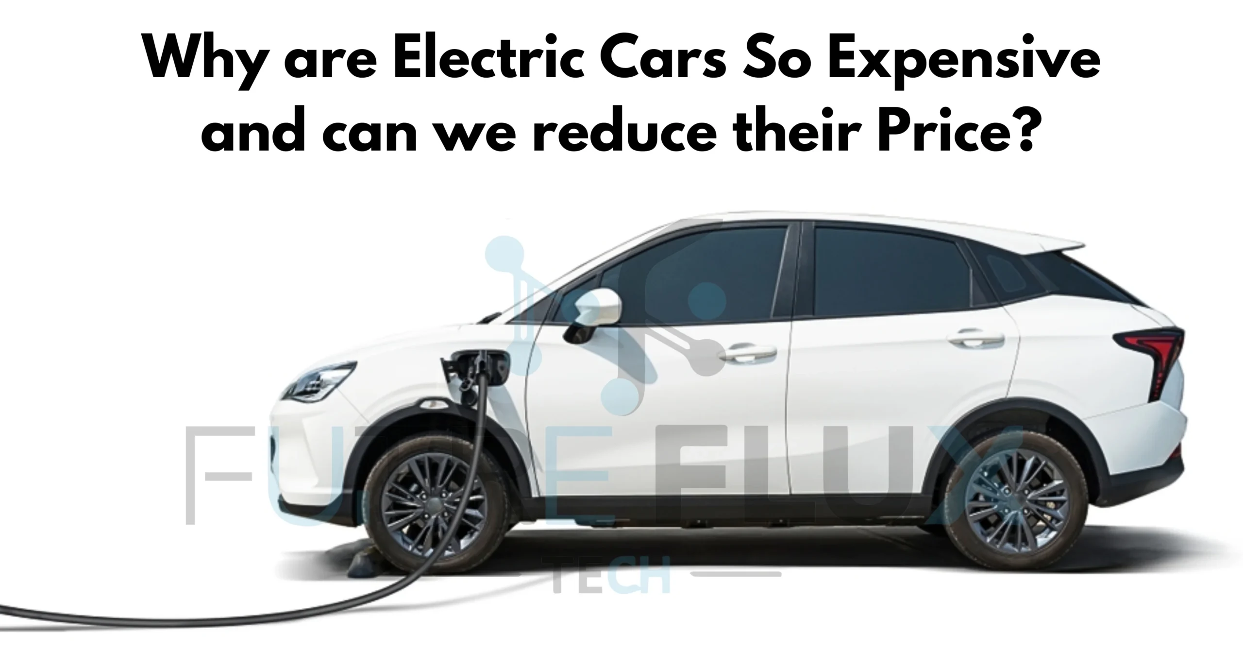 Why are Electric Cars So Expensive and can we reduce their Price? | Detail Pricing Discussion