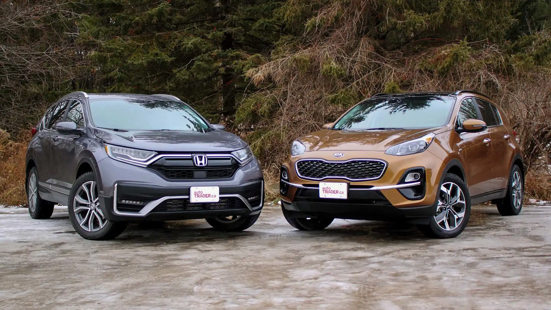 Which SUV Performs Better? Honda CRV vs Kia Sportage Performance